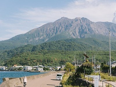 🌳 이시바시 기념공원(이시바시 키넨 코엔) 이미지 6